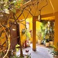 Jardim