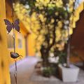 Jardim