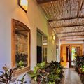 Jardim