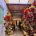 Jardim